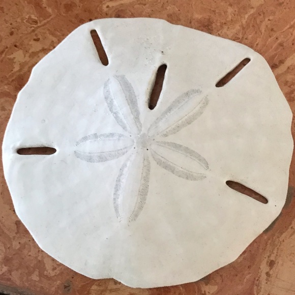 Meet your Posher, Posh - Picture 1 of 1